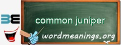 WordMeaning blackboard for common juniper